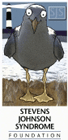 Stevie Johnson Seagull SJS Mascot